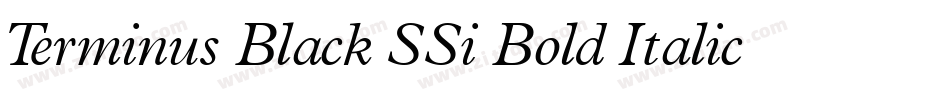 Terminus Black SSi Bold Italic字体转换